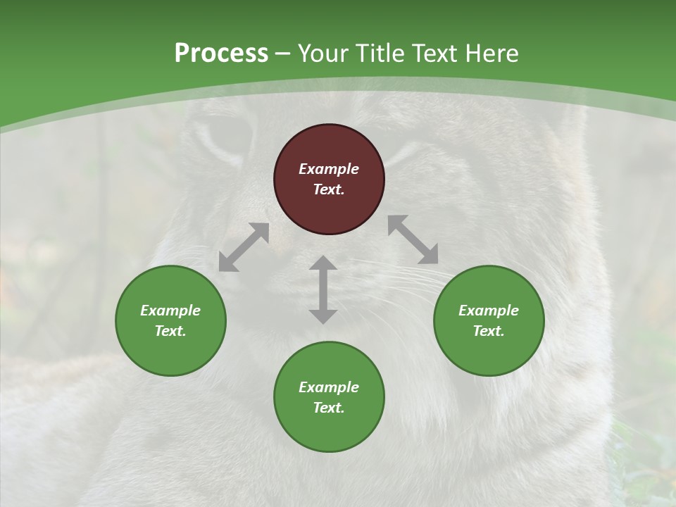 Look Head Feline PowerPoint Template