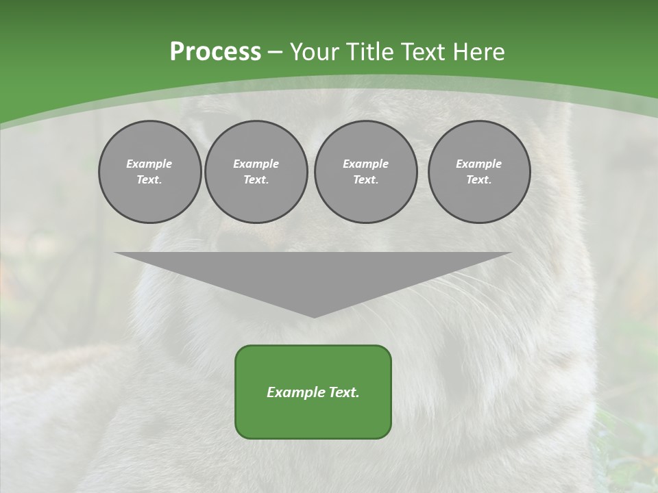 Look Head Feline PowerPoint Template