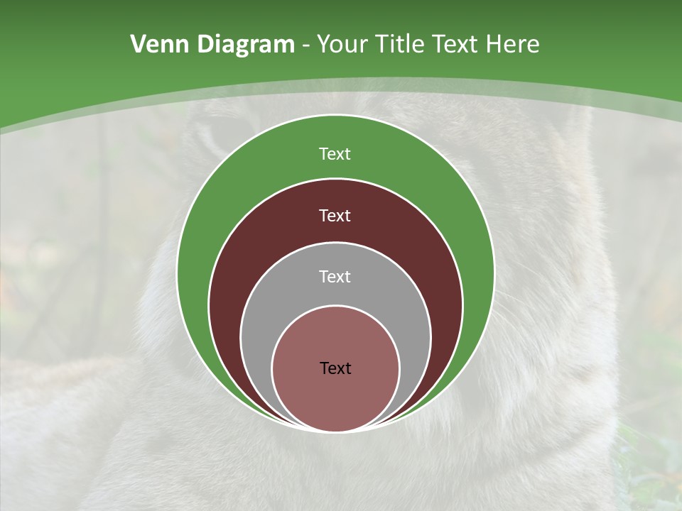 Look Head Feline PowerPoint Template