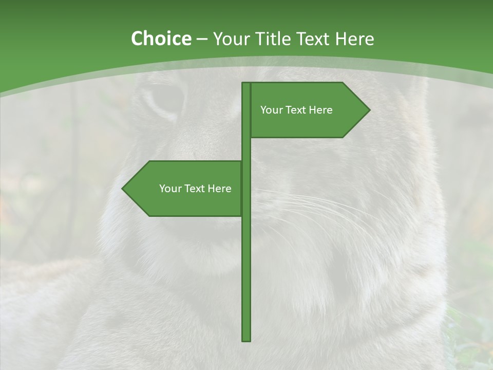 Look Head Feline PowerPoint Template