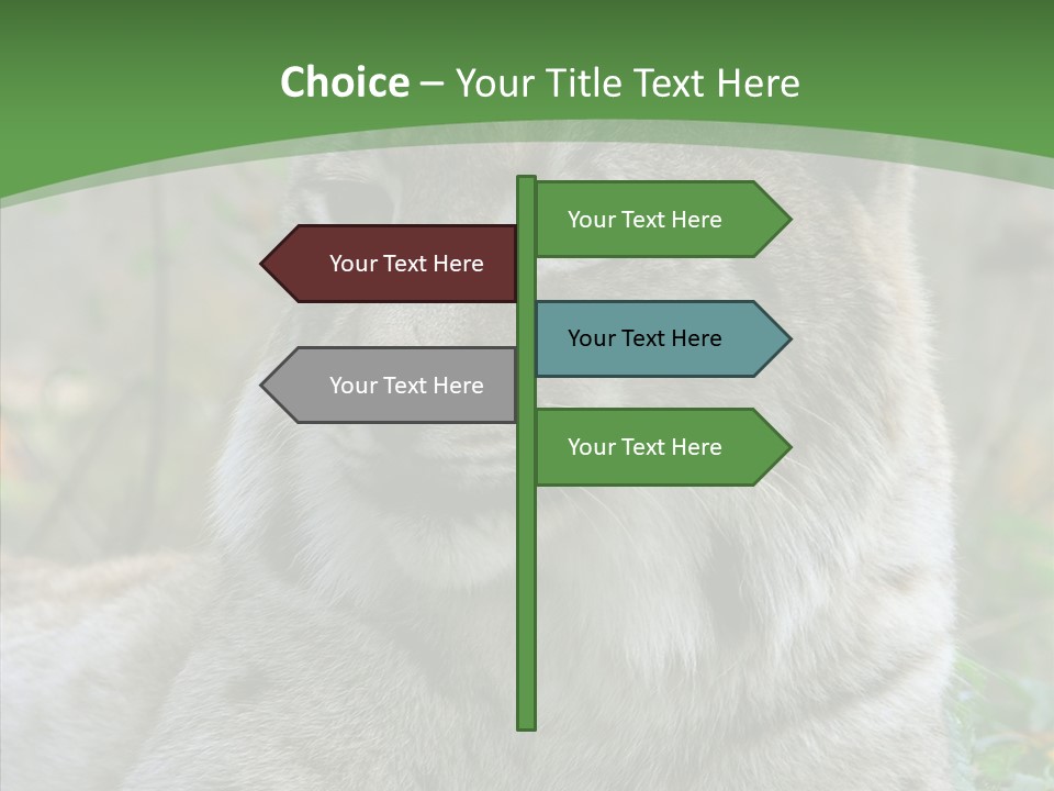 Look Head Feline PowerPoint Template