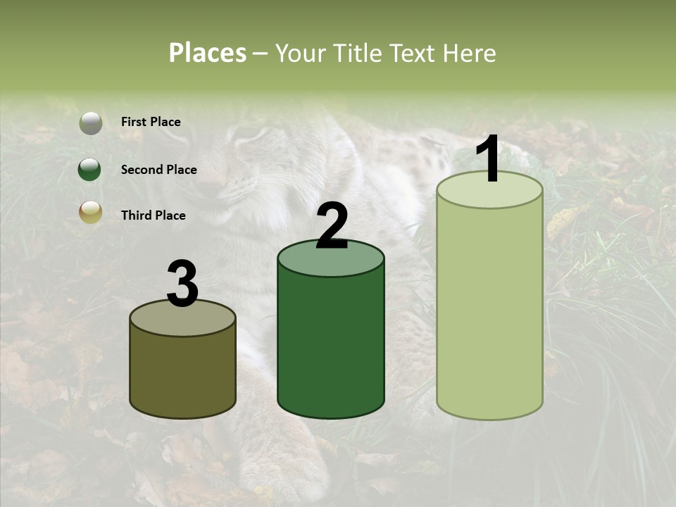 Nature Coat Bobcat PowerPoint Template