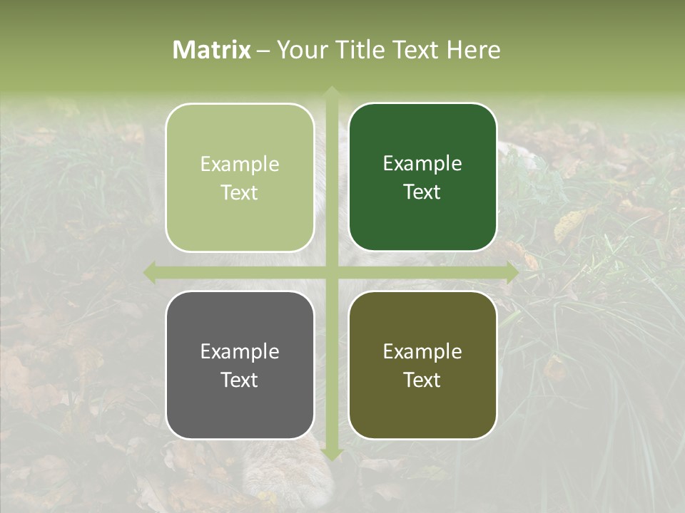 Nature Coat Bobcat PowerPoint Template