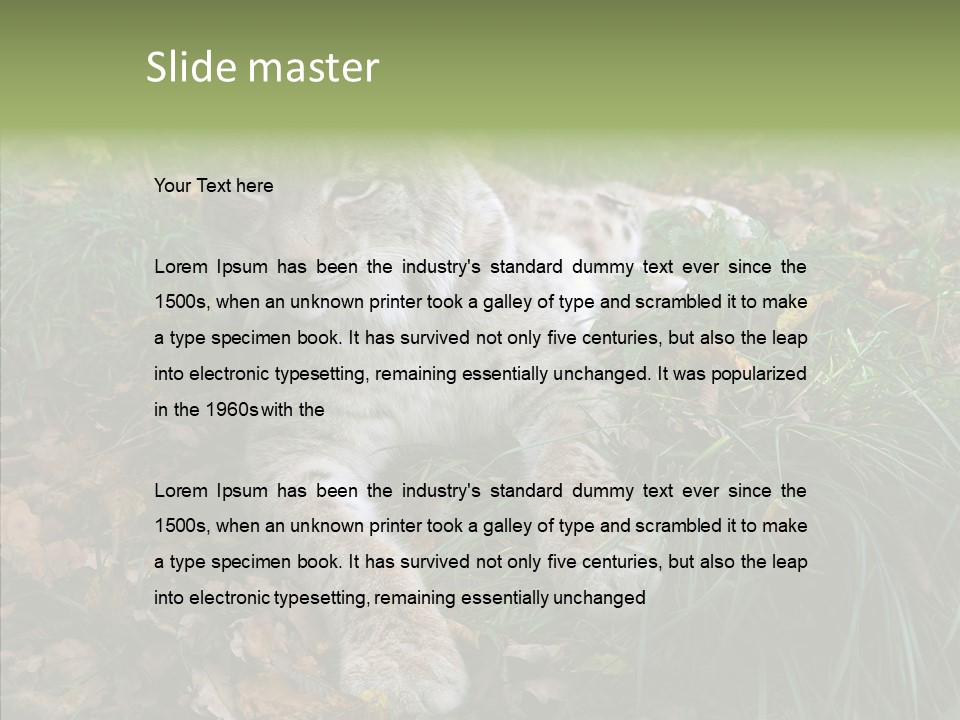 Nature Coat Bobcat PowerPoint Template