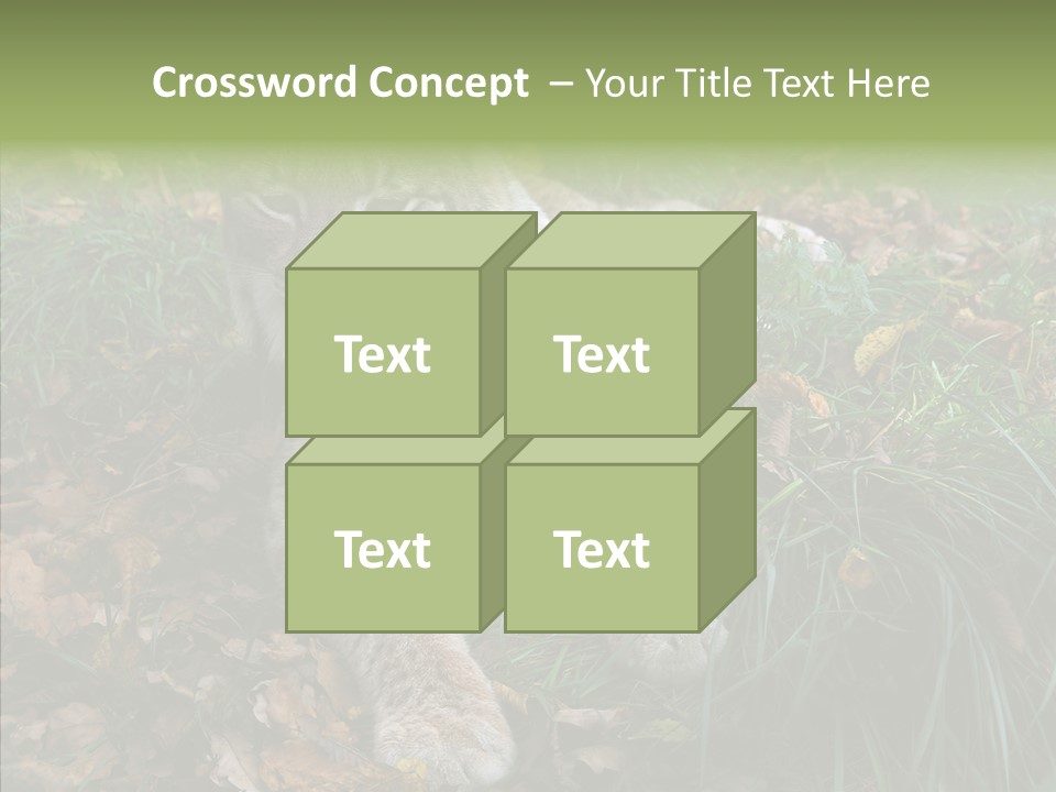 Nature Coat Bobcat PowerPoint Template