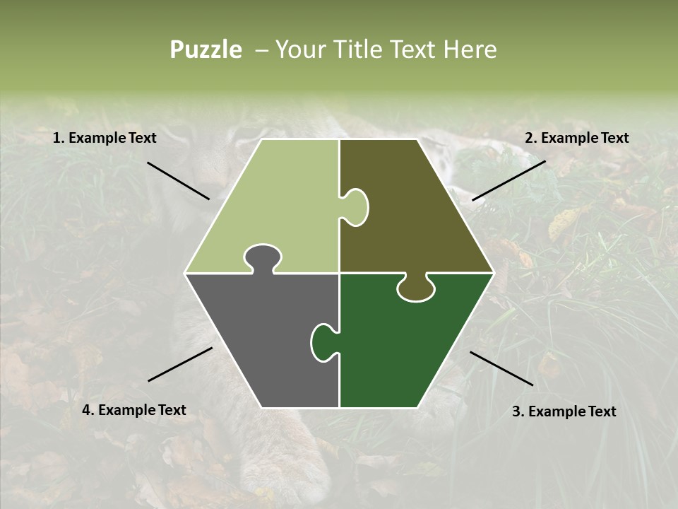 Nature Coat Bobcat PowerPoint Template