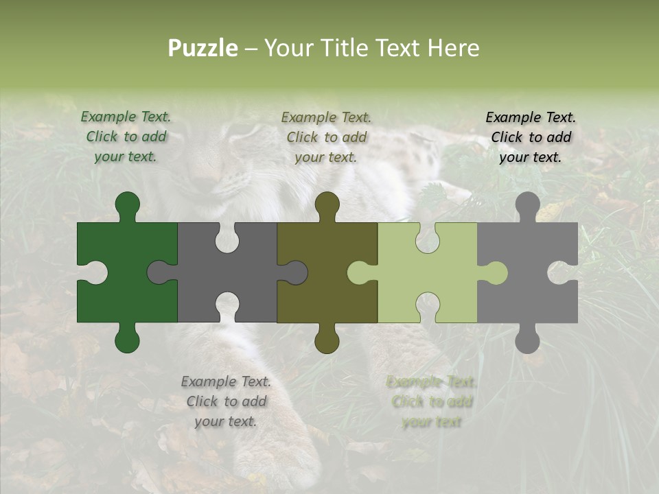 Nature Coat Bobcat PowerPoint Template