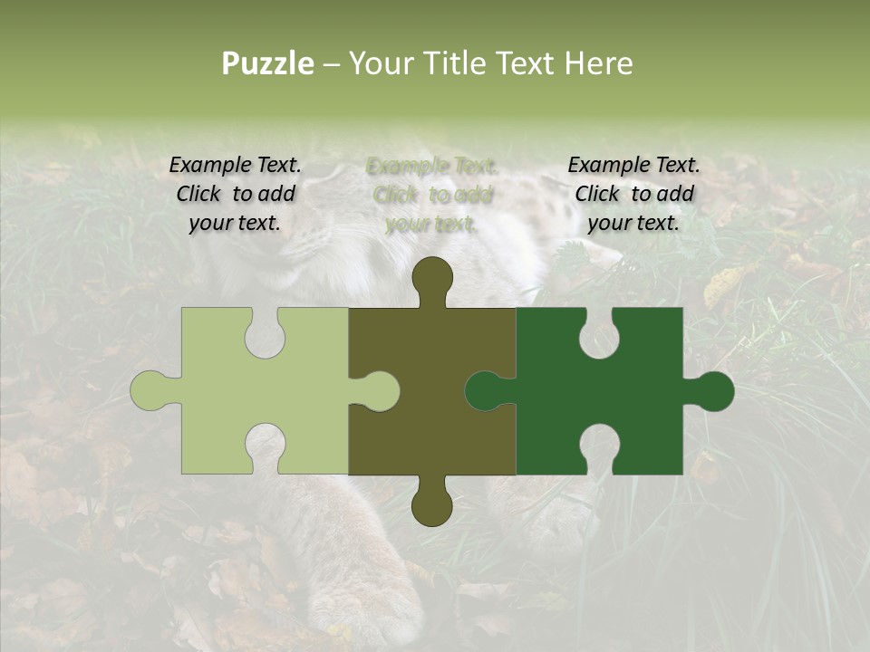 Nature Coat Bobcat PowerPoint Template