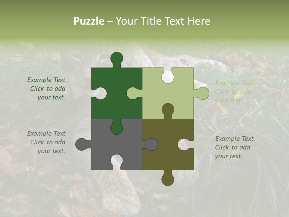 Nature Coat Bobcat PowerPoint Template