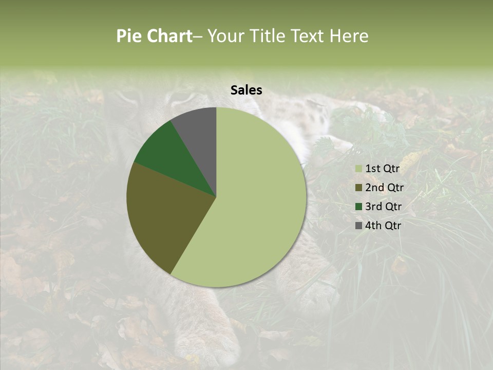 Nature Coat Bobcat PowerPoint Template