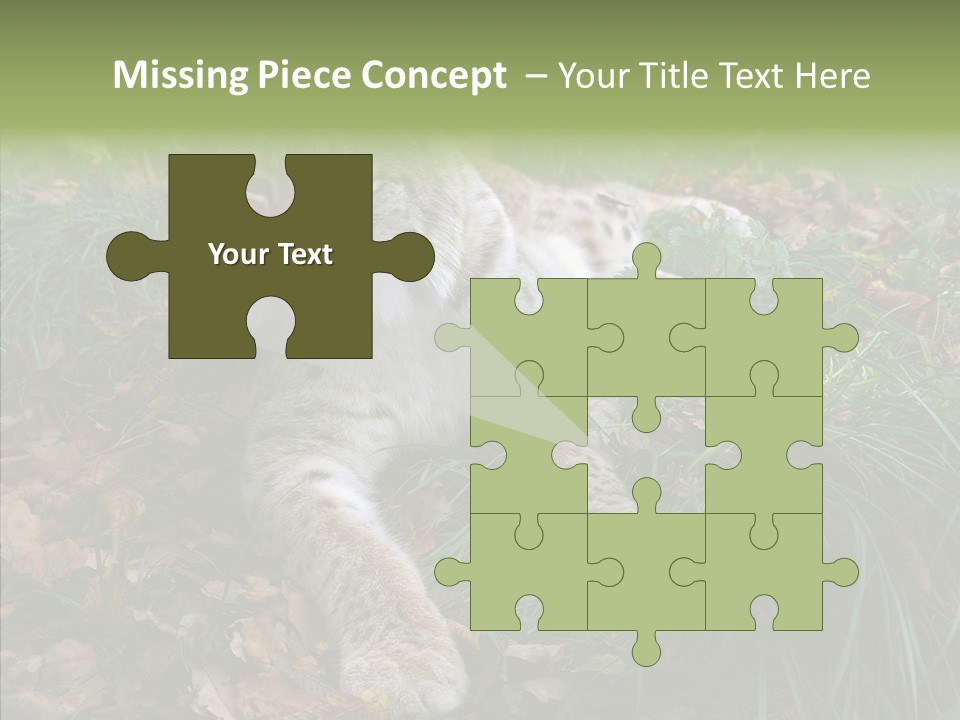 Nature Coat Bobcat PowerPoint Template