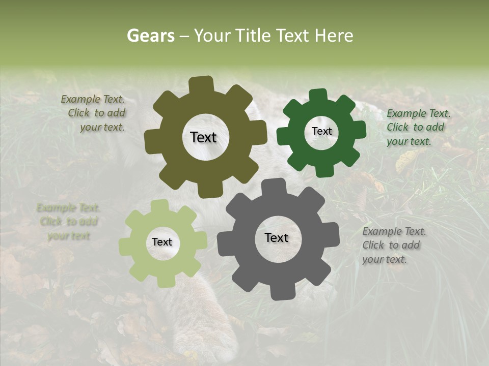 Nature Coat Bobcat PowerPoint Template