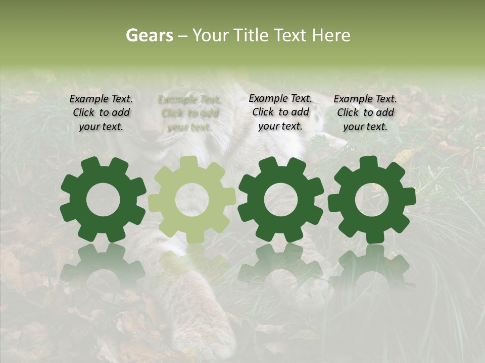 Nature Coat Bobcat PowerPoint Template