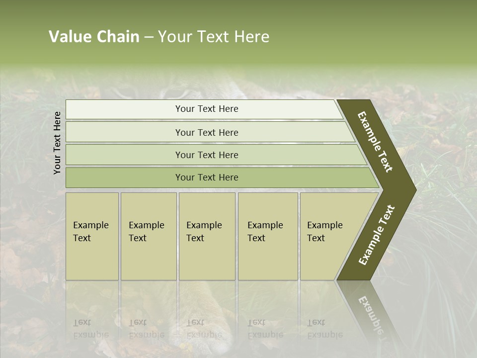 Nature Coat Bobcat PowerPoint Template