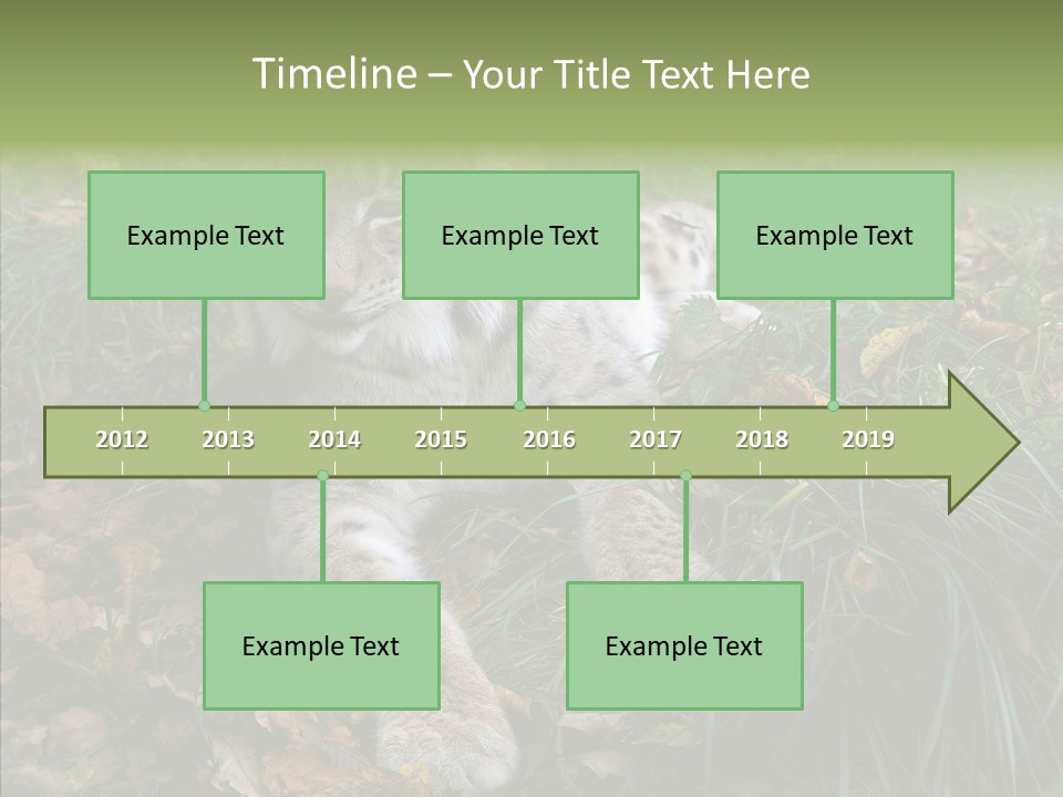 Nature Coat Bobcat PowerPoint Template