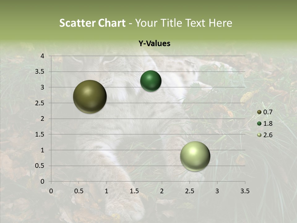 Nature Coat Bobcat PowerPoint Template