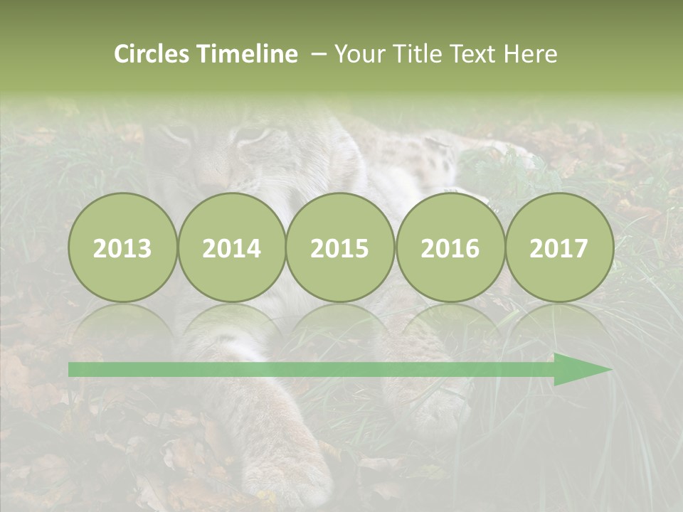 Nature Coat Bobcat PowerPoint Template