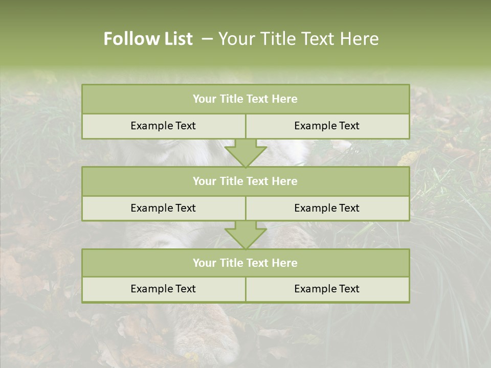 Nature Coat Bobcat PowerPoint Template