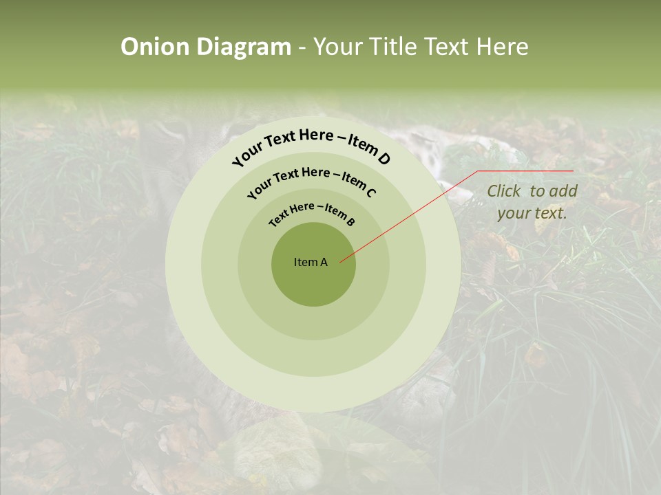 Nature Coat Bobcat PowerPoint Template