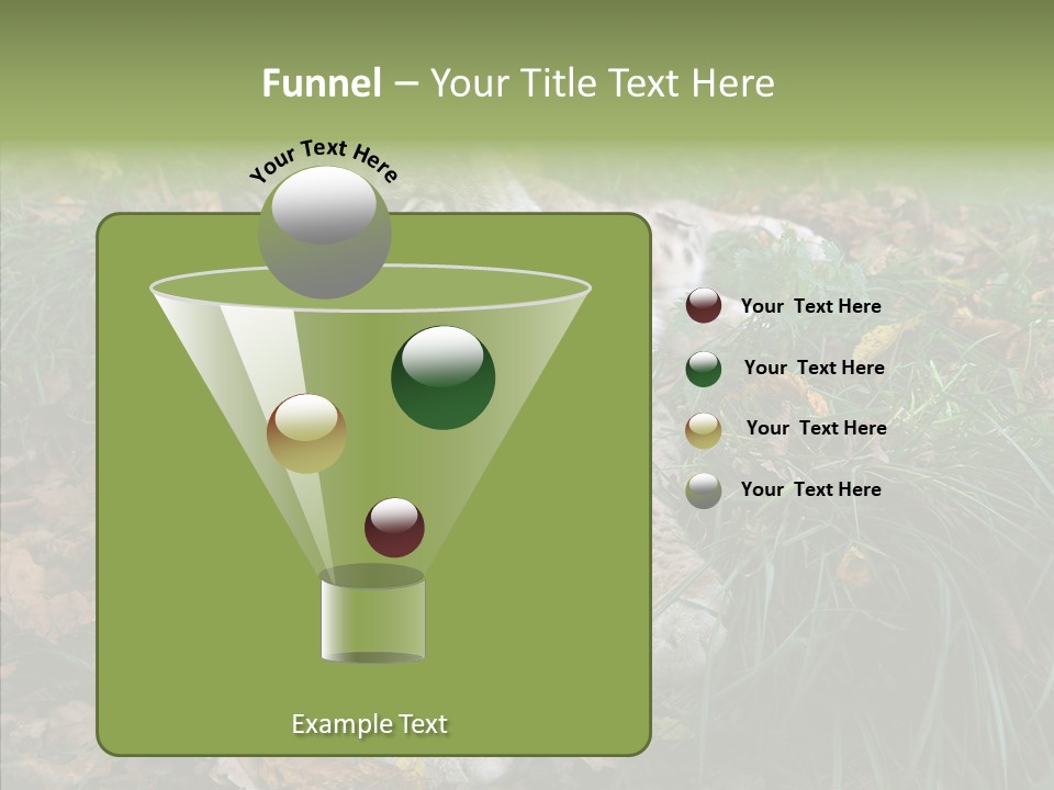 Nature Coat Bobcat PowerPoint Template