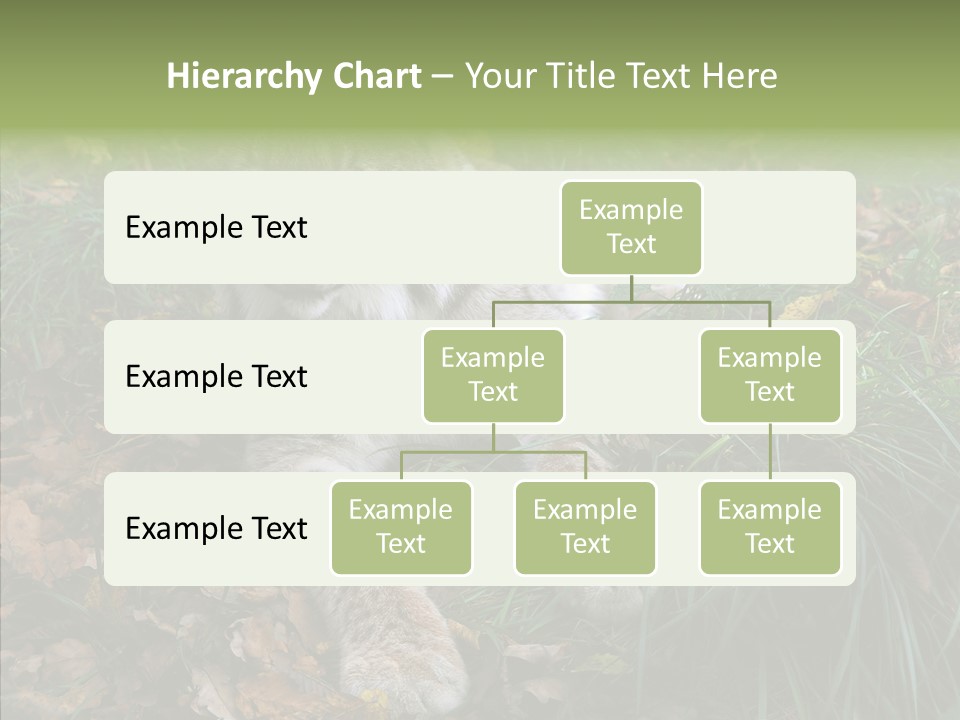 Nature Coat Bobcat PowerPoint Template