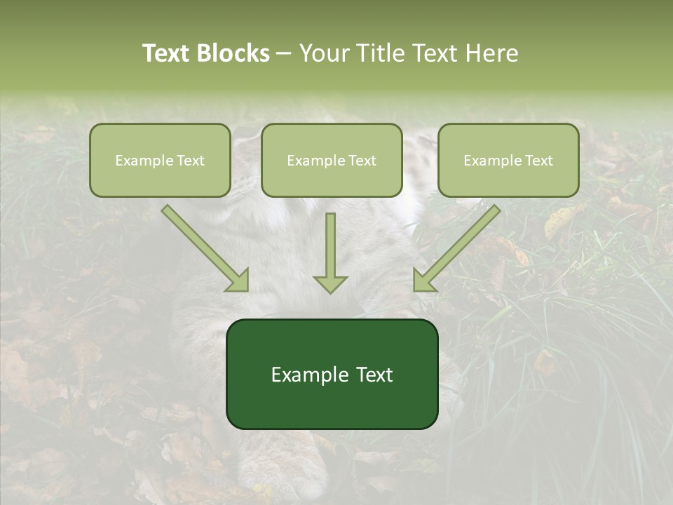 Nature Coat Bobcat PowerPoint Template