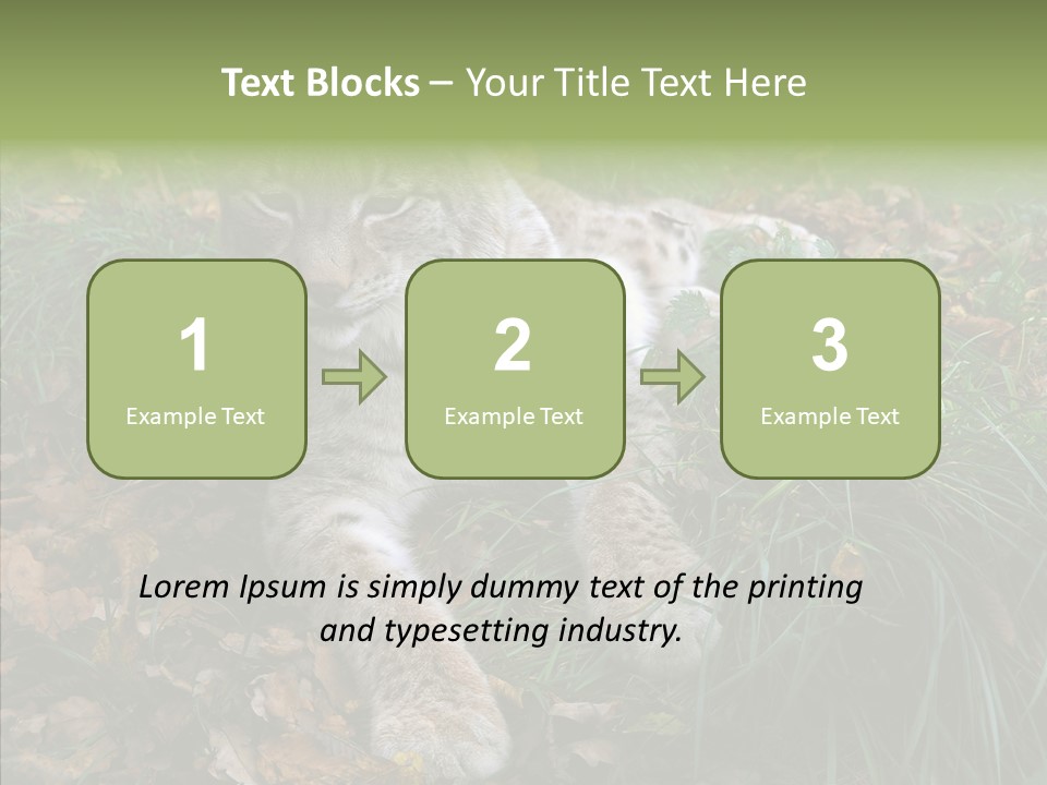 Nature Coat Bobcat PowerPoint Template