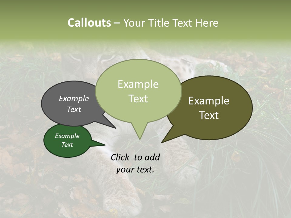 Nature Coat Bobcat PowerPoint Template