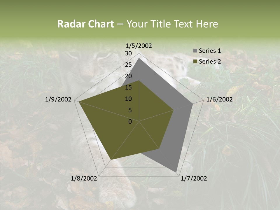 Nature Coat Bobcat PowerPoint Template