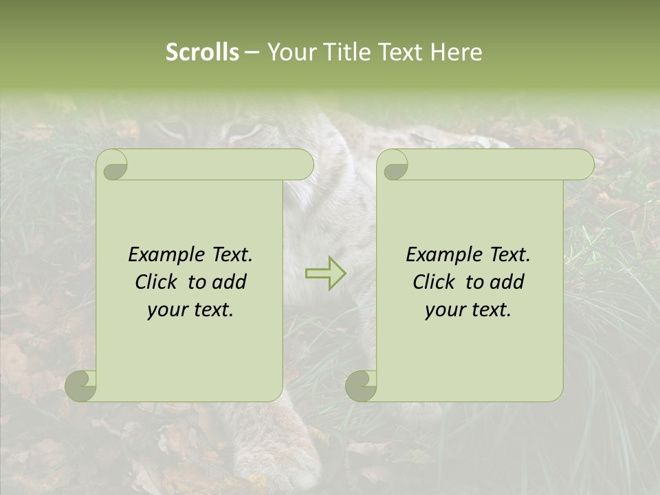 Nature Coat Bobcat PowerPoint Template