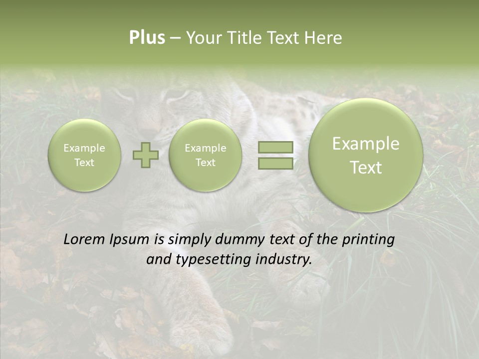 Nature Coat Bobcat PowerPoint Template