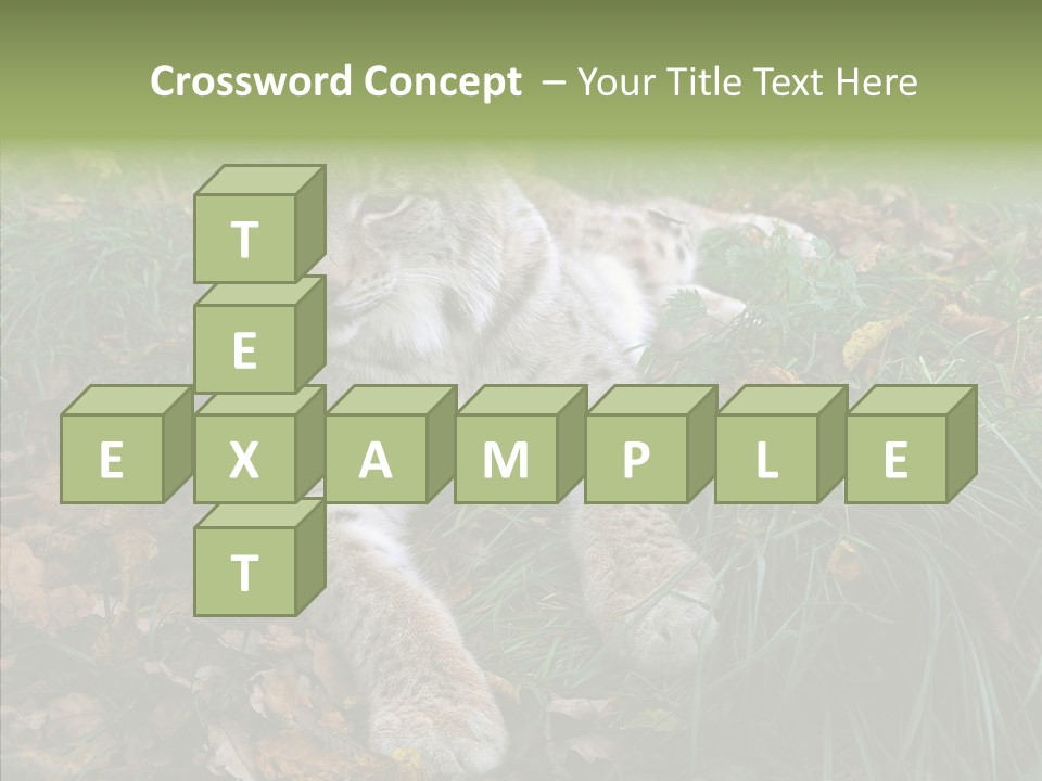 Nature Coat Bobcat PowerPoint Template