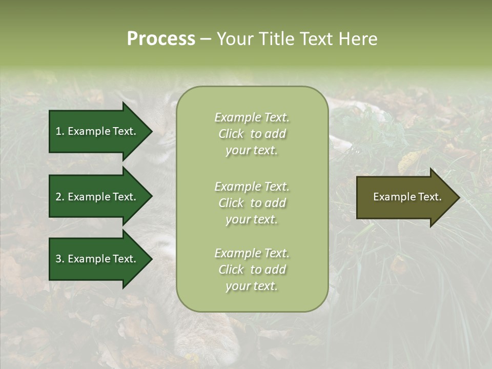 Nature Coat Bobcat PowerPoint Template