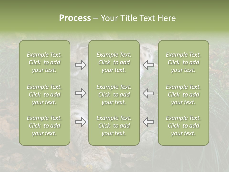 Nature Coat Bobcat PowerPoint Template