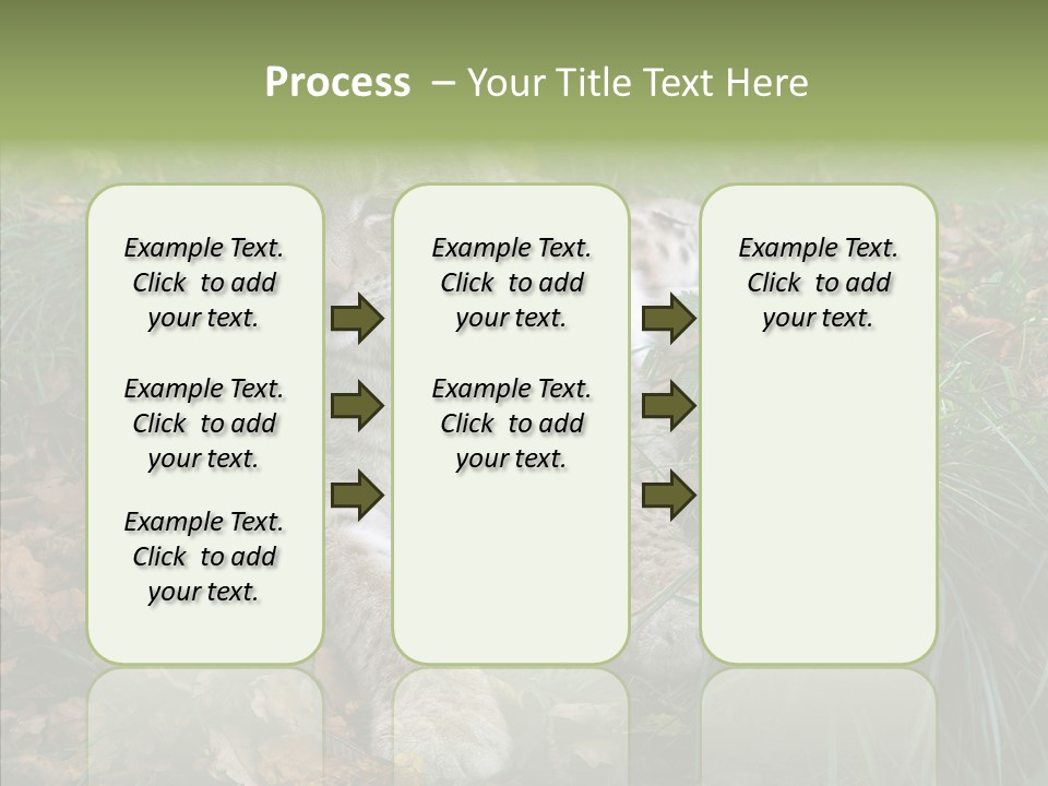 Nature Coat Bobcat PowerPoint Template