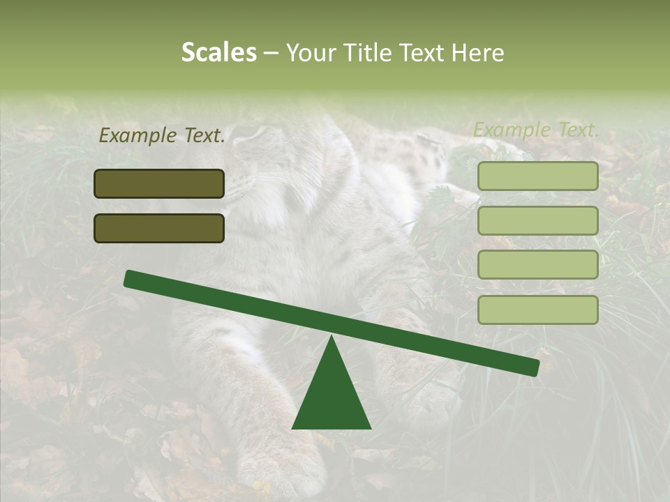 Nature Coat Bobcat PowerPoint Template