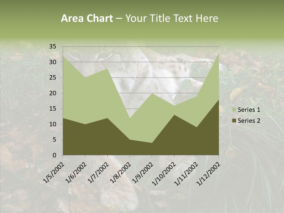 Nature Coat Bobcat PowerPoint Template