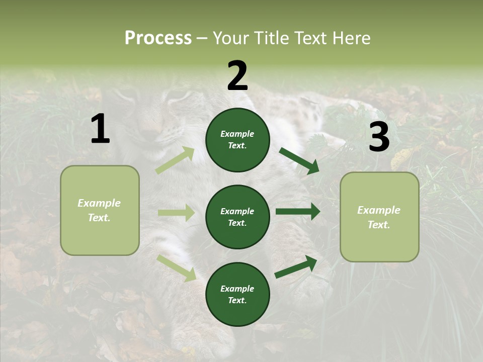 Nature Coat Bobcat PowerPoint Template