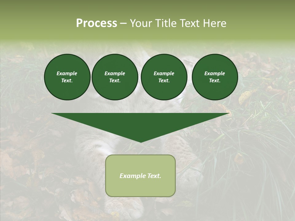 Nature Coat Bobcat PowerPoint Template