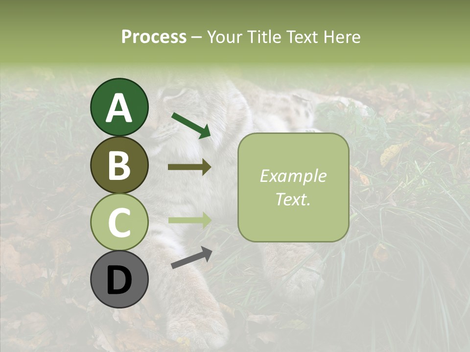 Nature Coat Bobcat PowerPoint Template