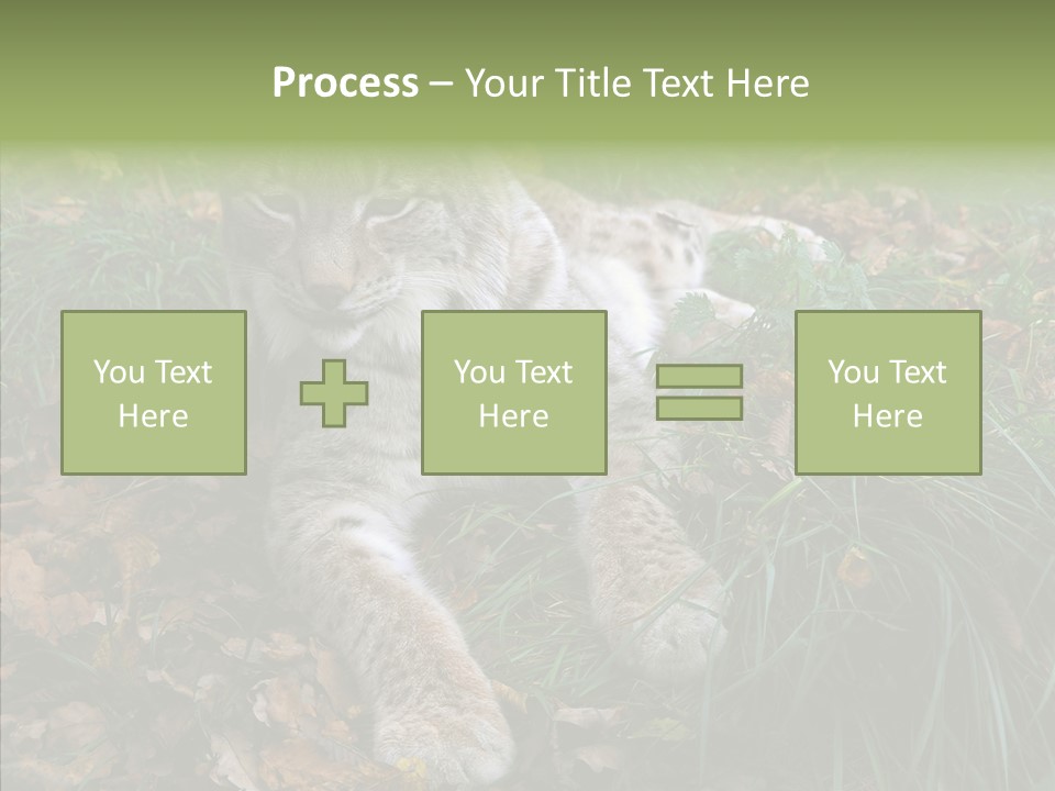 Nature Coat Bobcat PowerPoint Template