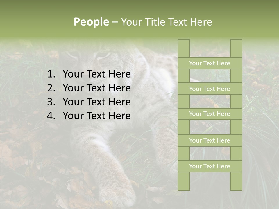 Nature Coat Bobcat PowerPoint Template