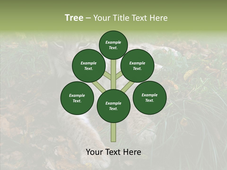 Nature Coat Bobcat PowerPoint Template