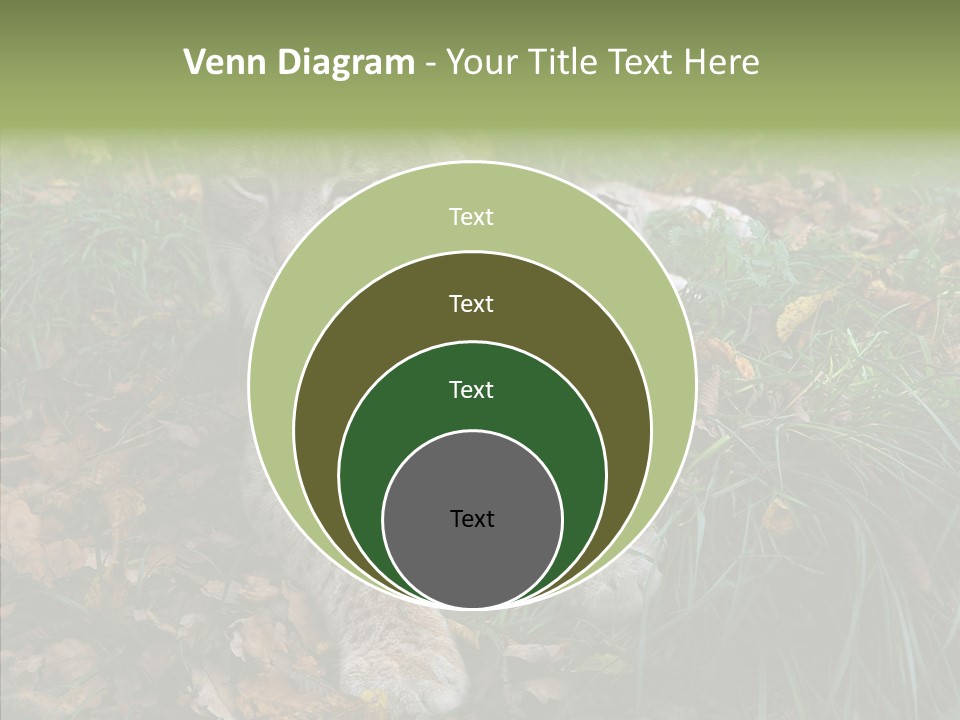 Nature Coat Bobcat PowerPoint Template