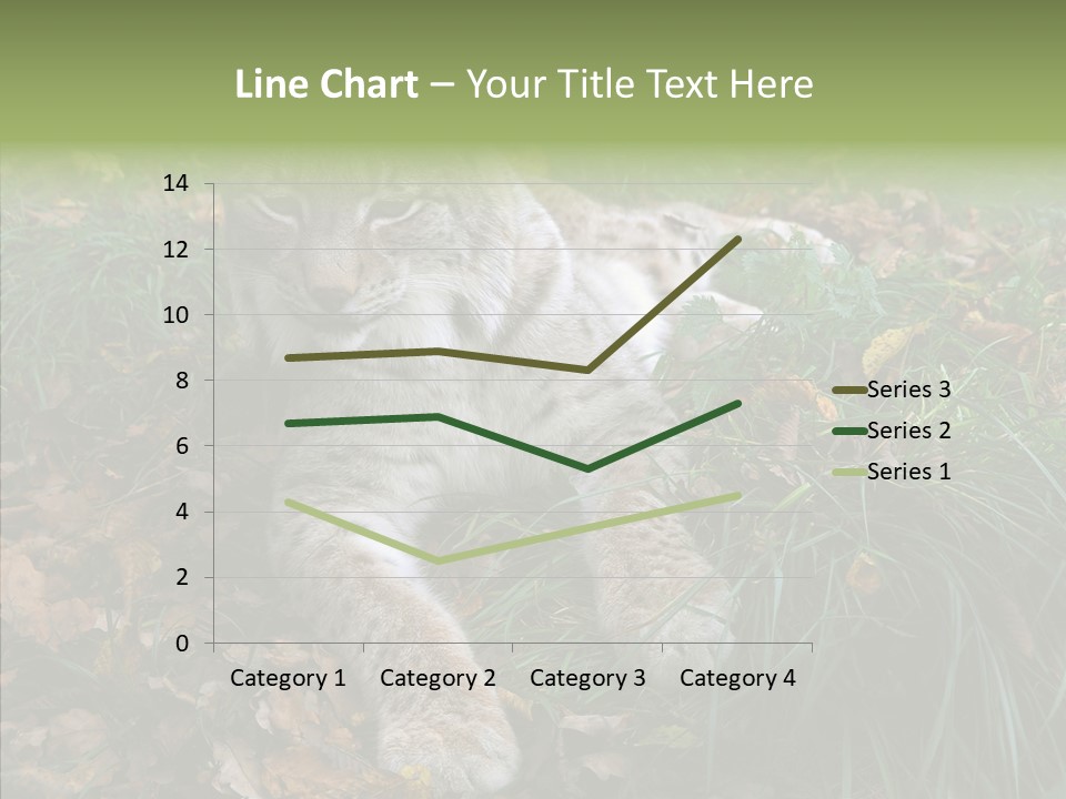 Nature Coat Bobcat PowerPoint Template
