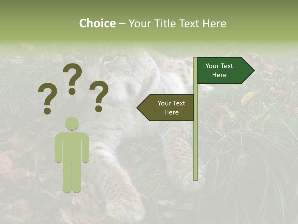Nature Coat Bobcat PowerPoint Template