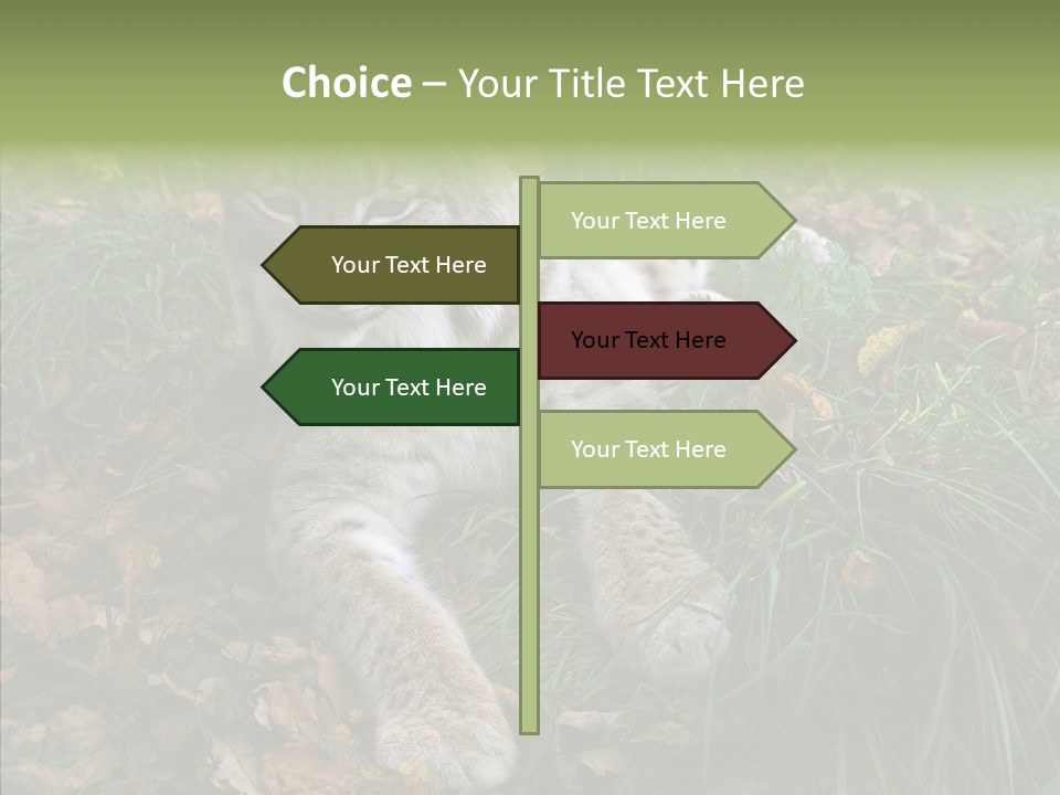 Nature Coat Bobcat PowerPoint Template