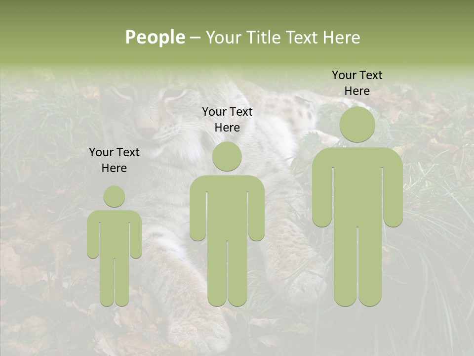 Nature Coat Bobcat PowerPoint Template