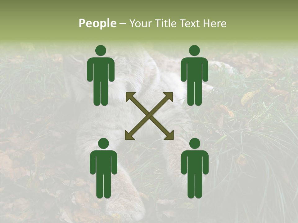 Nature Coat Bobcat PowerPoint Template