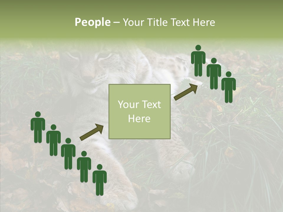 Nature Coat Bobcat PowerPoint Template